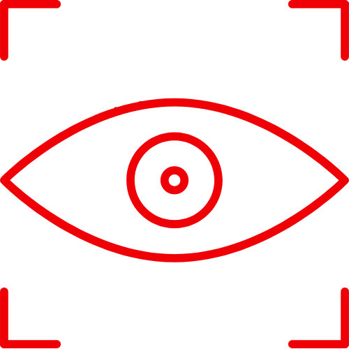 Vision Icon